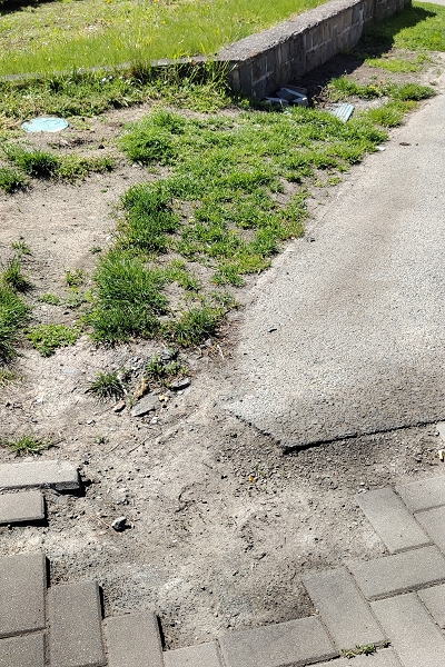 Image 15