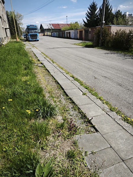 Image 13