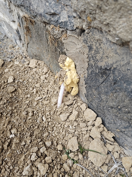 Image 20