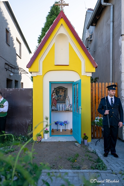 Image 11